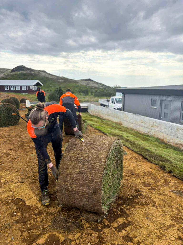 Nærmynd af starfsmanni að rúlla út stórri torfrúllu við þökulagningu.
