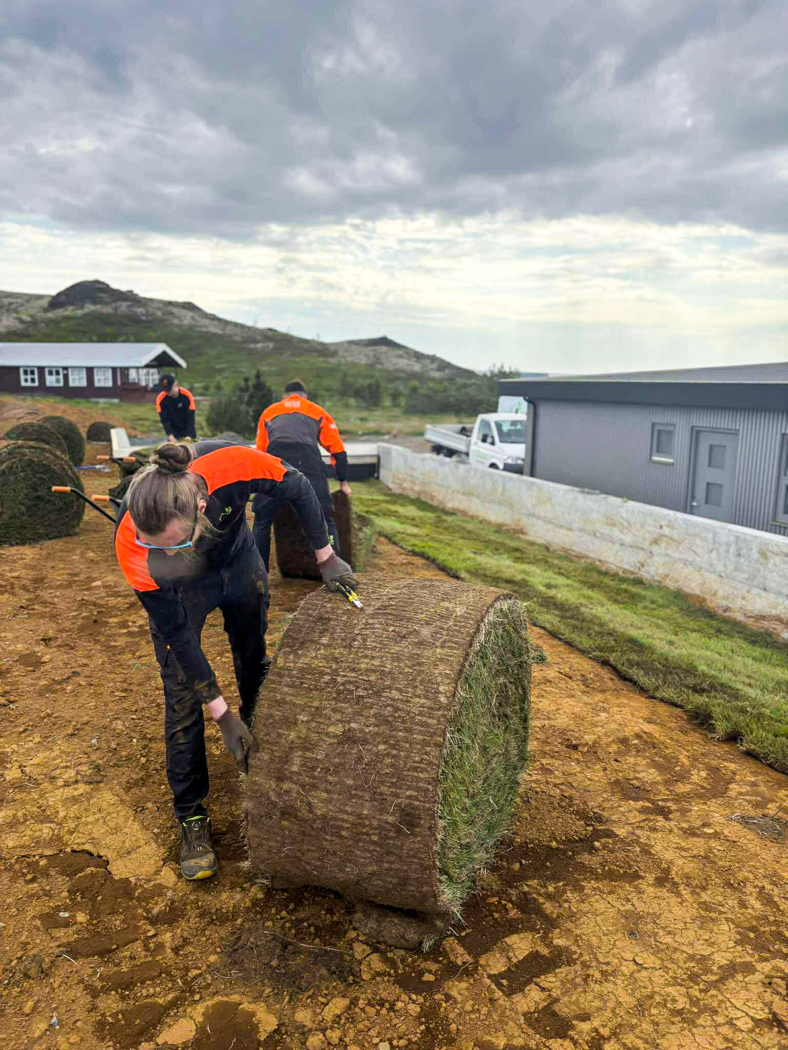 Nærmynd af starfsmanni að rúlla út stórri torfrúllu við þökulagningu.