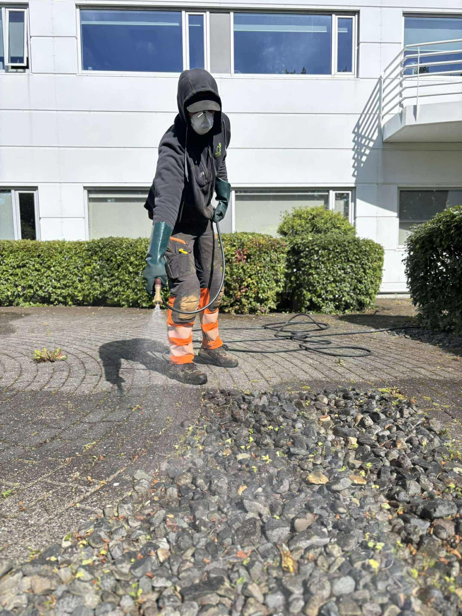 Illgresi og óæskilegar plöntur geta haft slæm áhrif á vöxt og heilbrigði gróðurs í garðinum. Með markvissri og áreiðanlegri illgresiseitrun er hægt að ná stjórn á vandanum og skapa betri skilyrði fyrir plöntur sem eiga að vera þar.