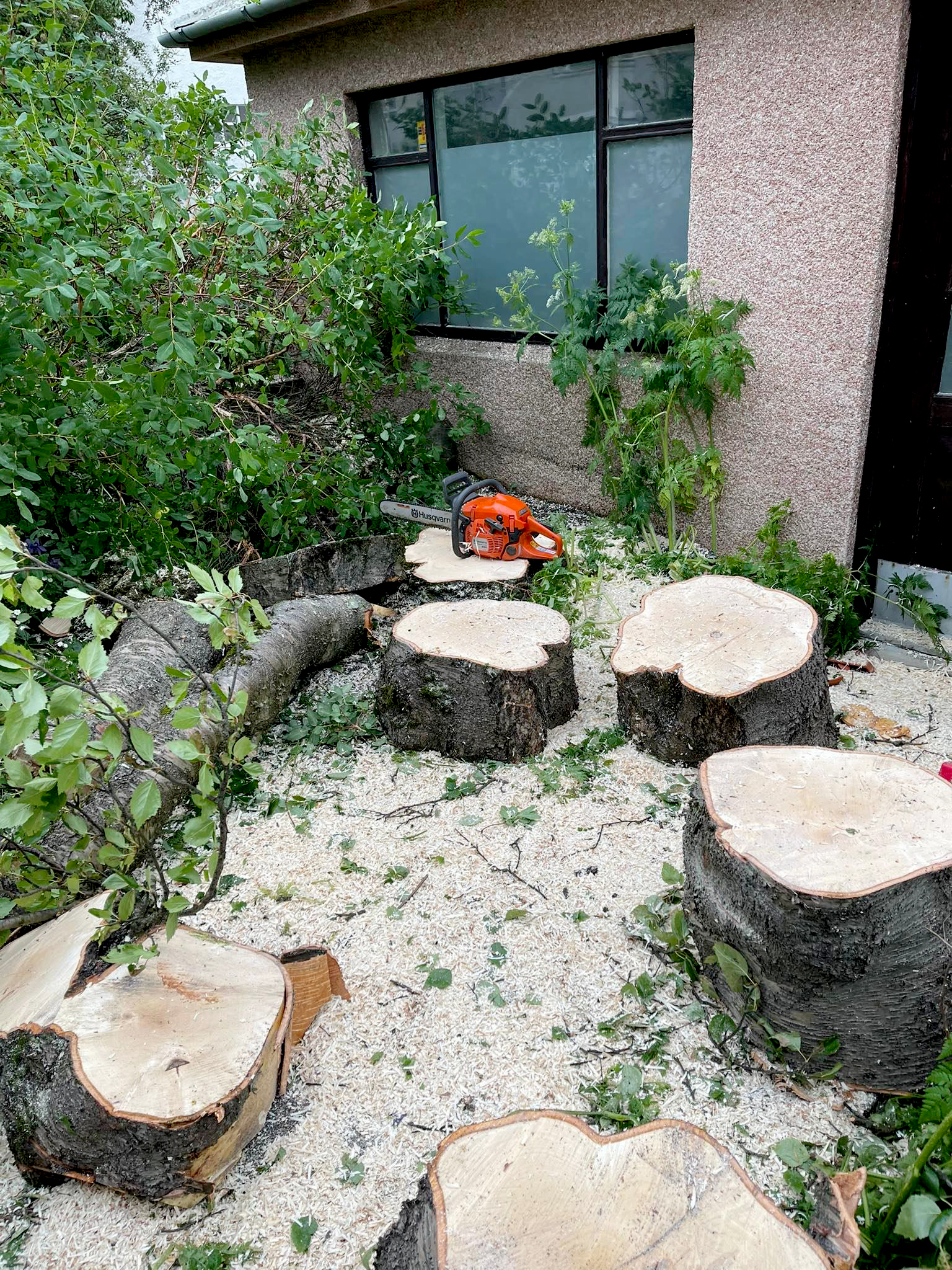 Stubbatæting er hentug leið til að bæta útlit garðsins þegar stubbar standa eftir í beðum eða úti á miðri grasflöt og valda vandræðum við garðslátt. Með sérhæfðum búnaði fjarlægjum við stubbinn á snyrtilegan hátt og skiljum eftir svæði sem er auðvelt að nýta áfram.