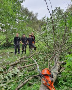 Við veitum alhliða garðaþjónustu fyrir einstaklinga, húsfélög og fyrirtæki Við sinnum reglulegri umhirðu og sérverkefnum með áherslu á vandaða vinnu, snyrtilegt umhverfi og lausnir sem henta hverju útisvæði.