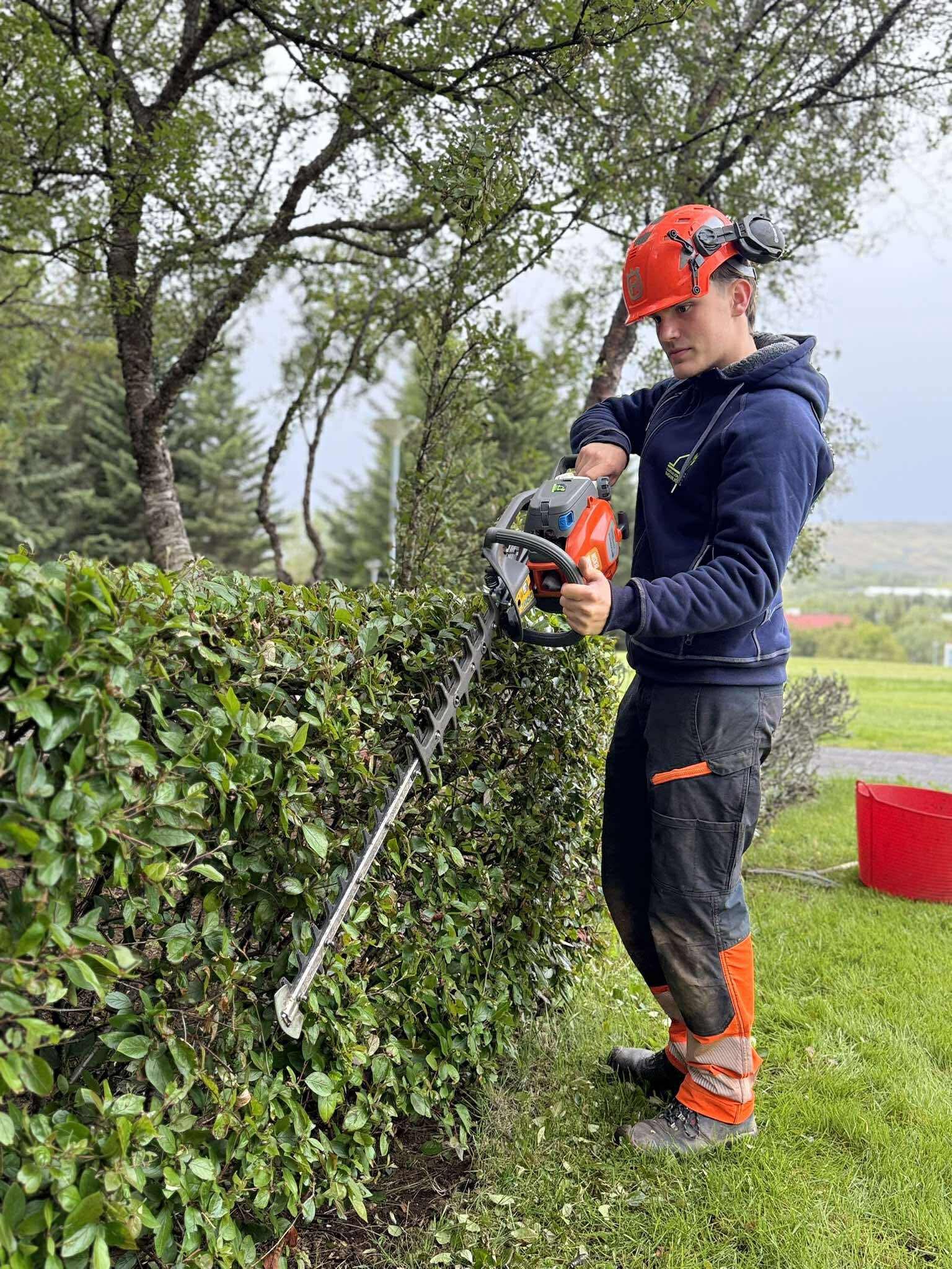 Við veitum alhliða garðaþjónustu fyrir einstaklinga, húsfélög og fyrirtæki Við sinnum reglulegri umhirðu og sérverkefnum með áherslu á vandaða vinnu, snyrtilegt umhverfi og lausnir sem henta hverju útisvæði.