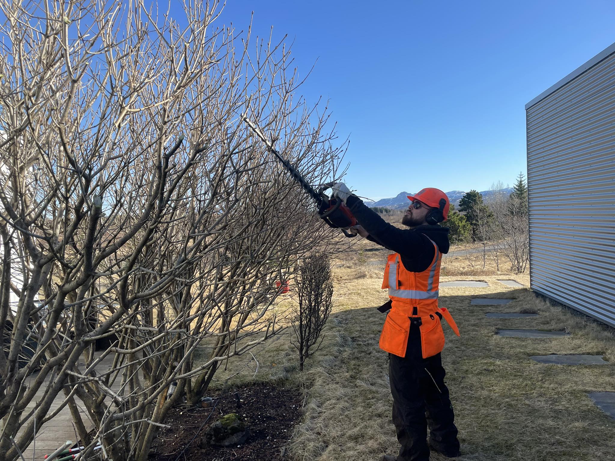 Við veitum alhliða garðaþjónustu fyrir einstaklinga, húsfélög og fyrirtæki Við sinnum reglulegri umhirðu og sérverkefnum með áherslu á vandaða vinnu, snyrtilegt umhverfi og lausnir sem henta hverju útisvæði.