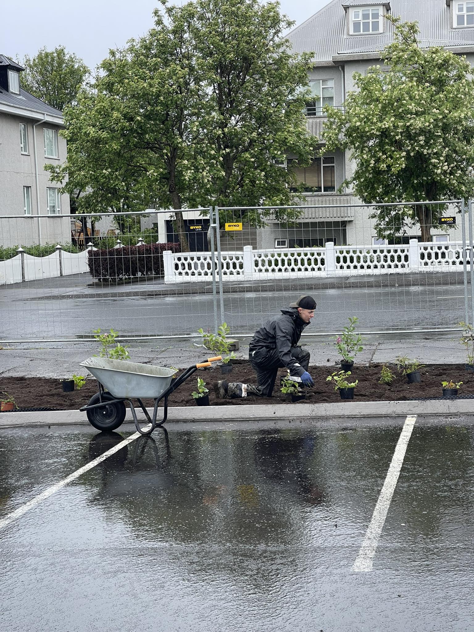 Undirbúningur og gróðursetning á runnum í beð við bílastæði ásamt jarðvegsvinnu.