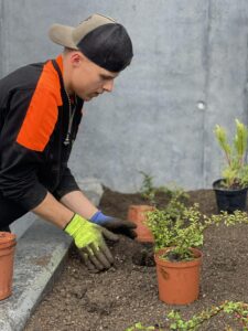 Við veitum alhliða garðaþjónustu fyrir einstaklinga, húsfélög og fyrirtæki Við sinnum reglulegri umhirðu og sérverkefnum með áherslu á vandaða vinnu, snyrtilegt umhverfi og lausnir sem henta hverju útisvæði.