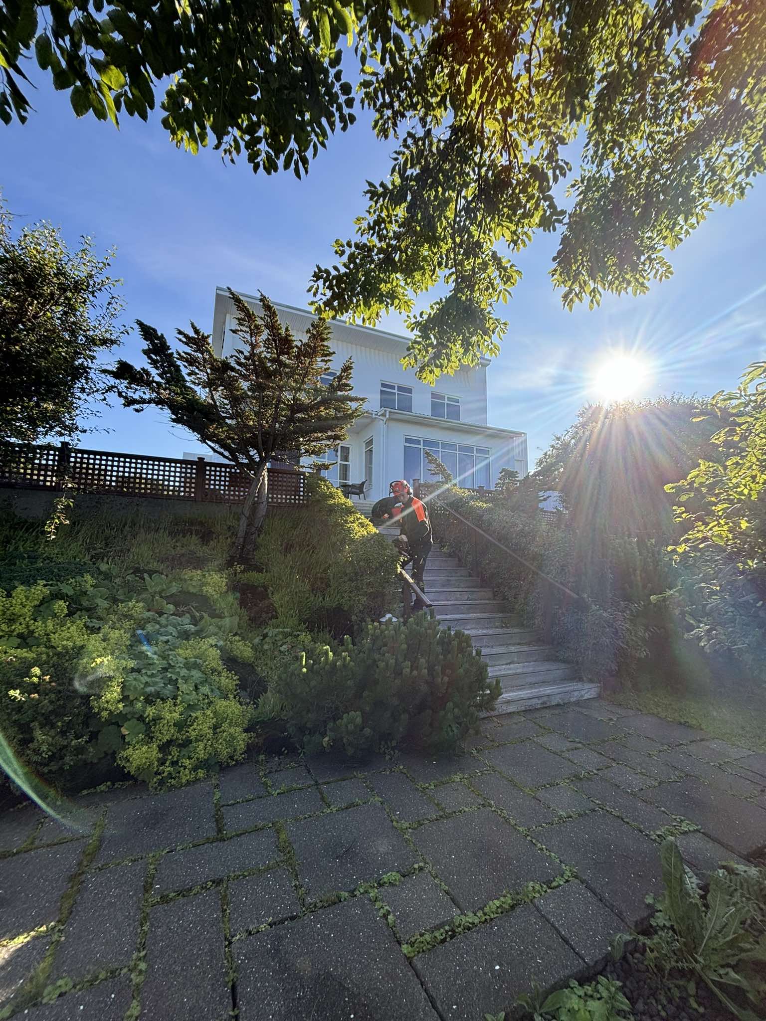 Snyrting og trjáklipping á gróðri í halla við tröppur í fallegum einkagarði.