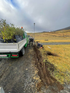 Stærri verkefni í gróðursetningu þar sem skjólbelti er sett niður á opnu svæði.