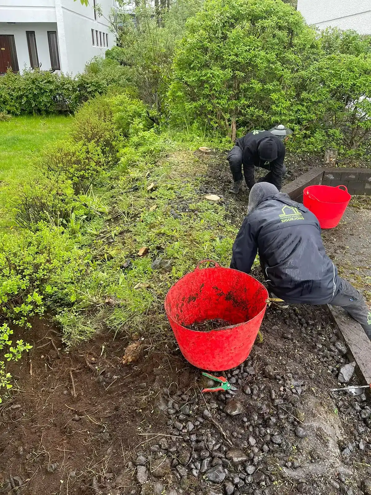 Starfsmenn við garðahreinsun og beðahreinsun þar sem illgresi er fjarlægt í rauða bala.
