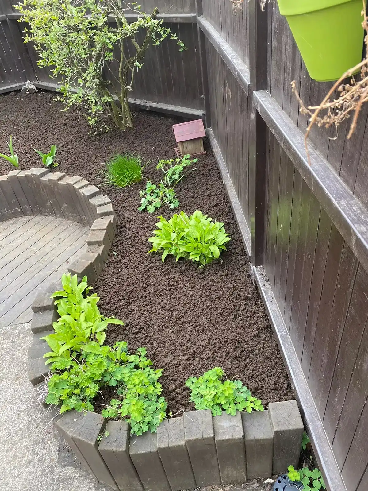 Lítið hornbeð sem er tilbúið eftir beðahreinsun og jarðvegskipti.