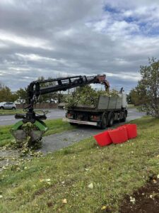 Snyrtilegur frágangur eftir trjáklippingu þar sem kranabíll fjarlægir greinar og garðaúrgang af stétt.
