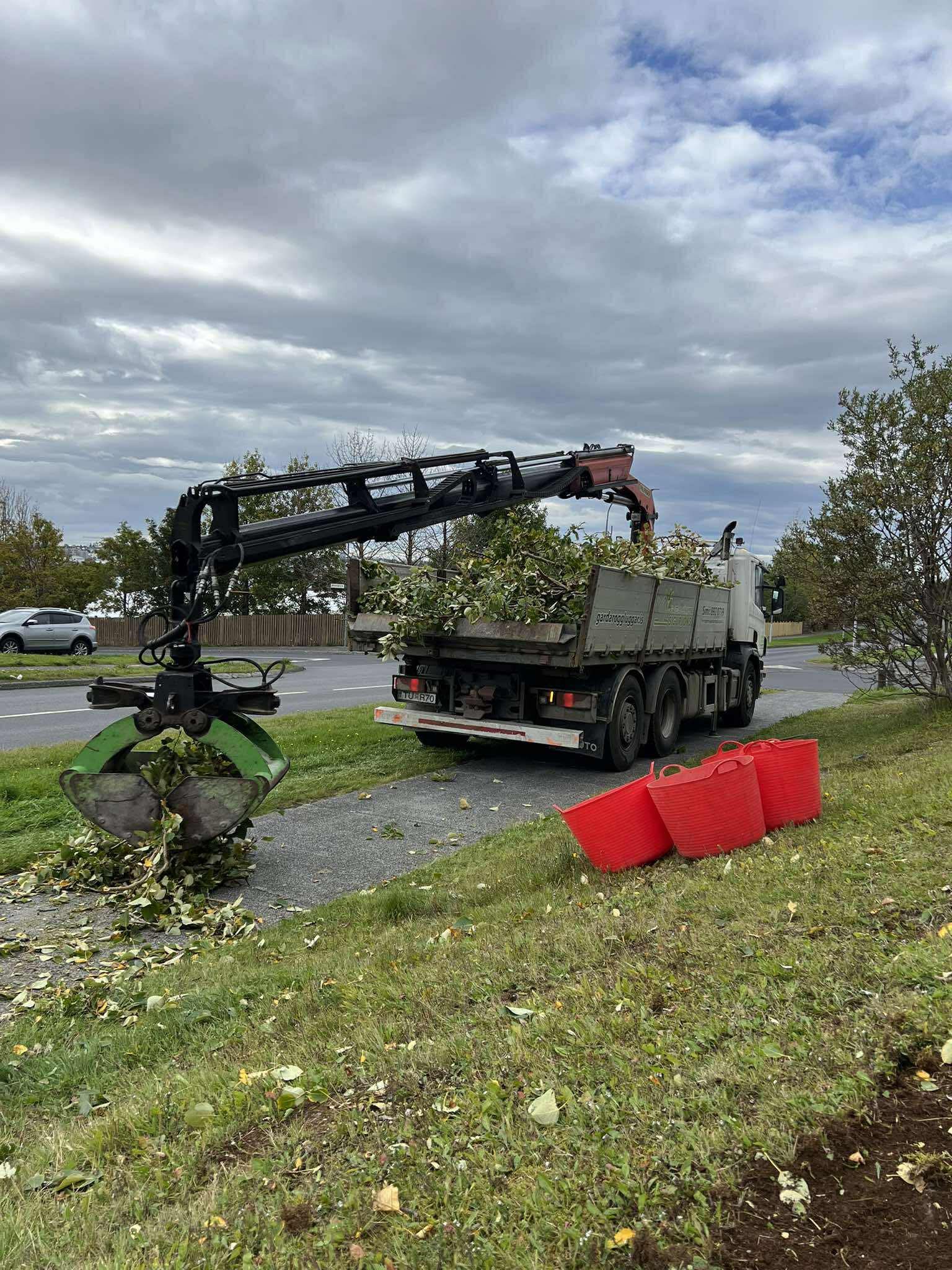 Snyrtilegur frágangur eftir trjáklippingu þar sem kranabíll fjarlægir greinar og garðaúrgang af stétt.