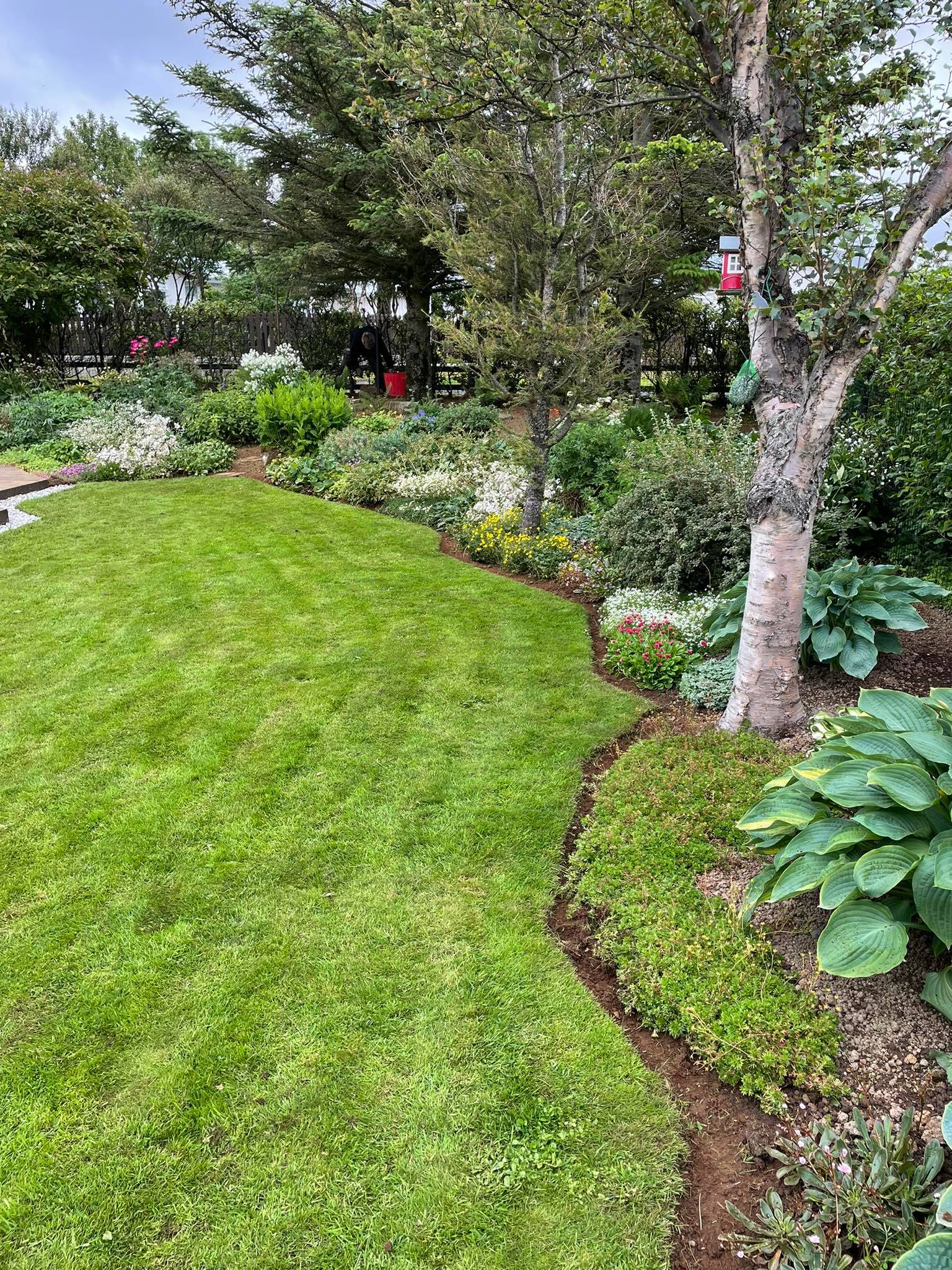 Snyrtileg grasflöt með sveigðum köntum og fjölbreyttu blómabeði í bakgrunni.