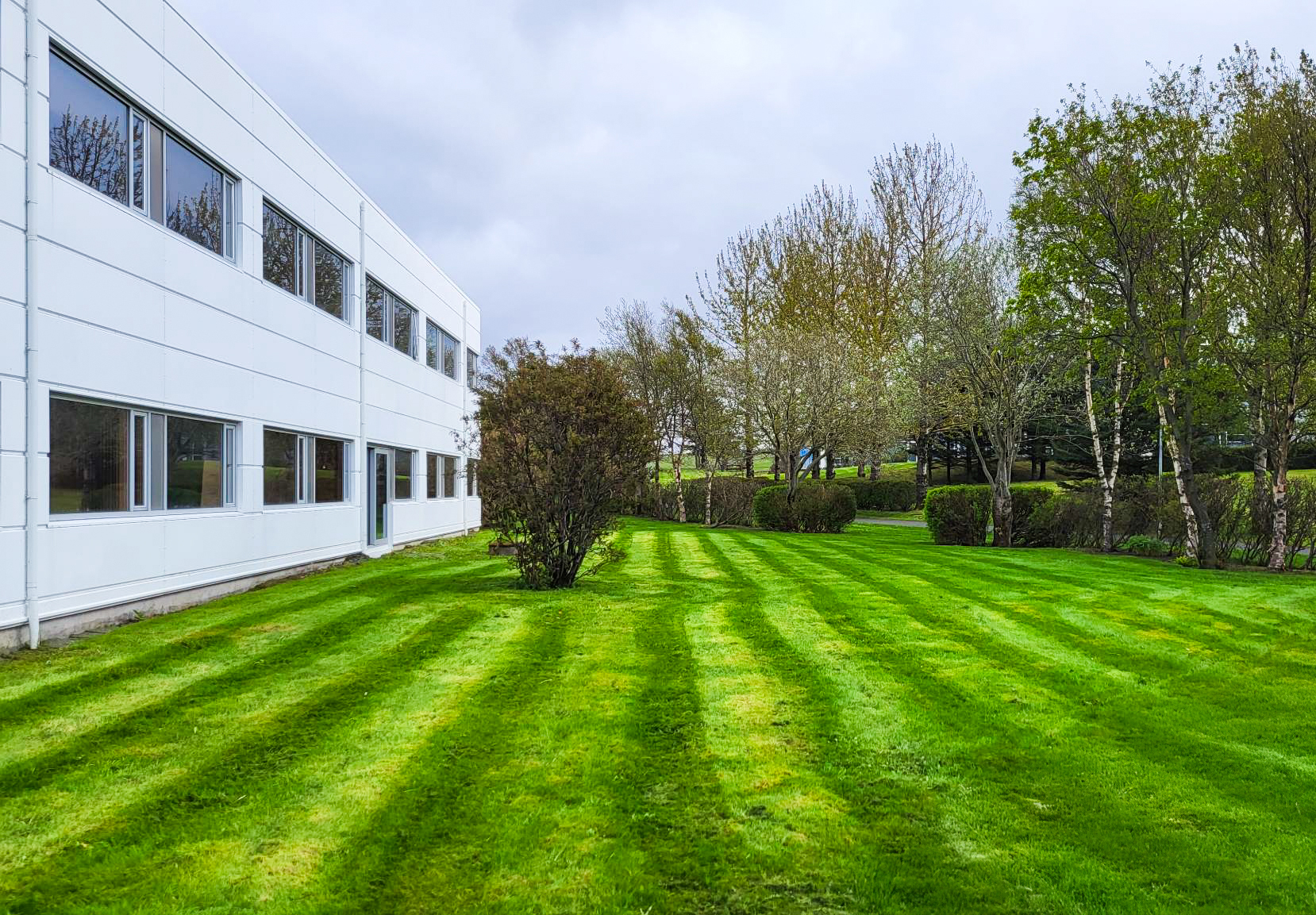 Stór og snyrtileg grasflöt við fyrirtæki eftir faglegan garðslátt.