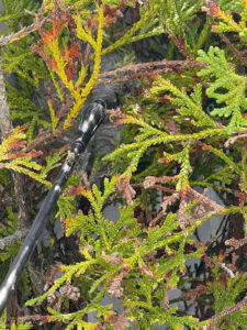 Við fjarlægjum geitungabú með öruggum og áreiðanlegum aðferðum. Losaðu þig við geitunga á fljótan og faglegan hátt með starfsleyfi Umhverfisstofnunar.