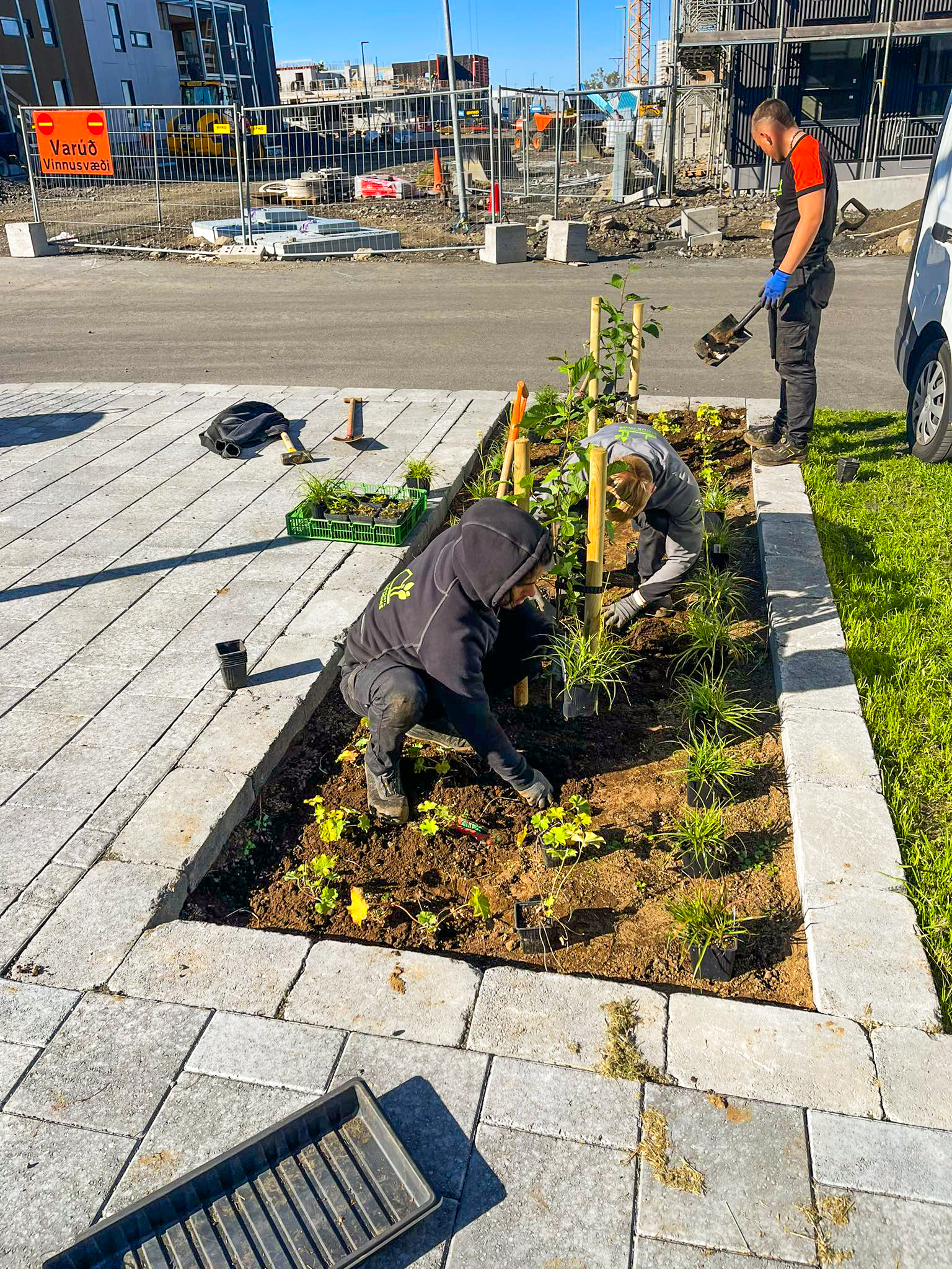 Starfsmenn að setja niður hekk og fylla að með mold við nýbyggingu.