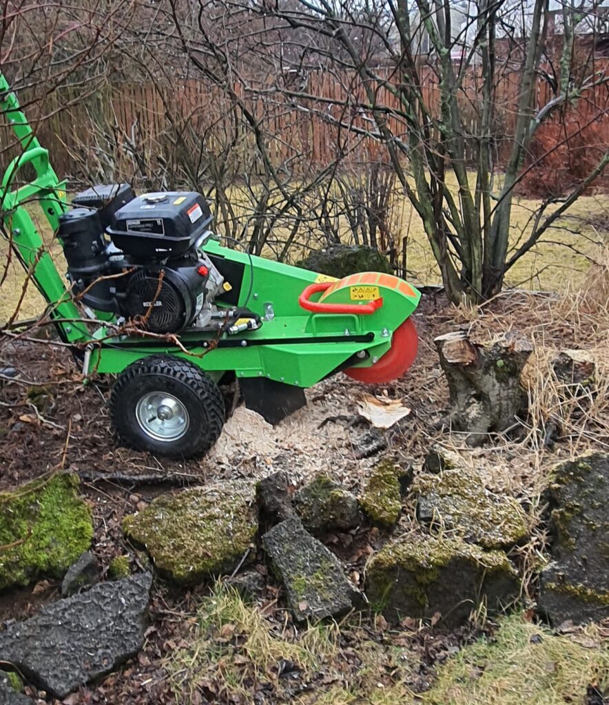 Stubbatæting í garði. Stubbur fræstur niður eftir trjáfellingu.