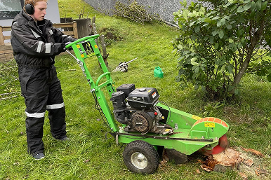 Stubbafræsing í garði þar sem starfsmaður fjarlægir trjástubb með vinnuvél