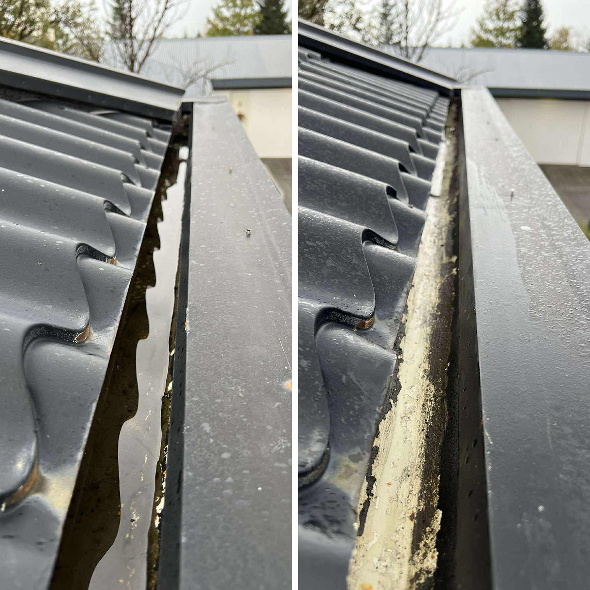 Við hreinsum þakrennur og niðurföll með sérhæfðum búnaði og tryggjum að vatn renni frjálst. Forðastu raka, myglu og skemmdir með reglulegri þakrennuþrifum.