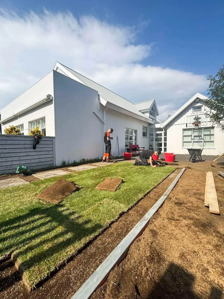 Tveir starfsmenn við faglega þökulagningu á nýrri grasflöt í bakgarði.