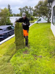 Starfsmaður heldur á rúllu af tilbúnu torfi kláru til lagningar.