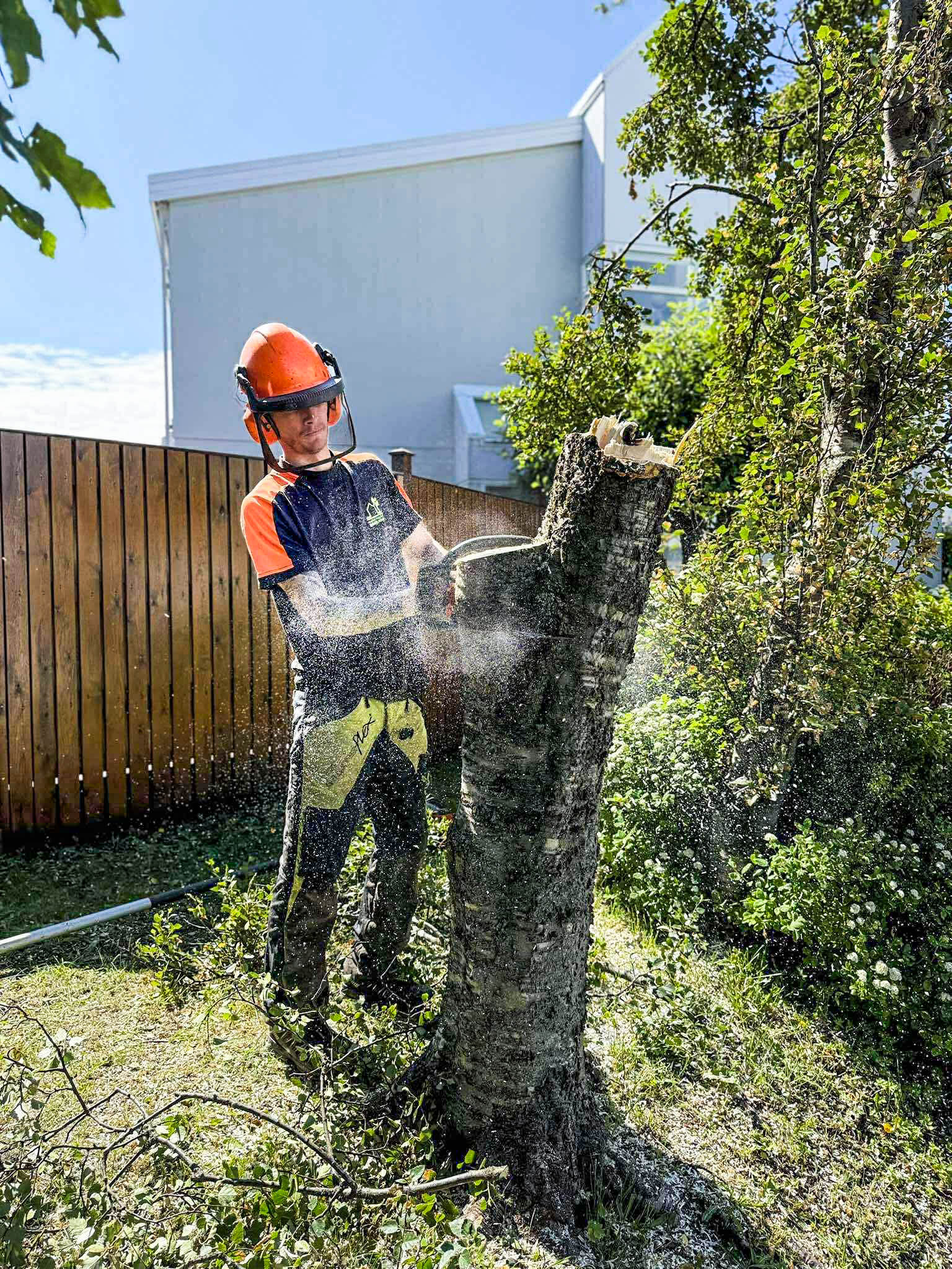 Fagmaður að saga trjábol. Trjáfellingar Garðaþjónusta Sigurjóns.