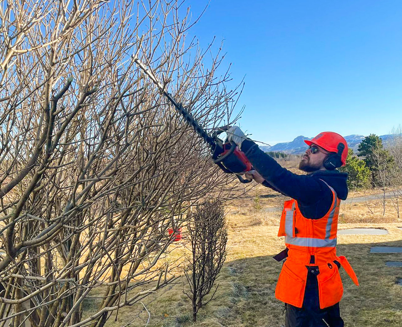 Við klippum og fellum tré af öllum stærðum með réttri aðferð og búnaði. Fagleg þjónusta sem heldur garðinum þínum öruggum, snyrtilegum og fallegum allt árið.