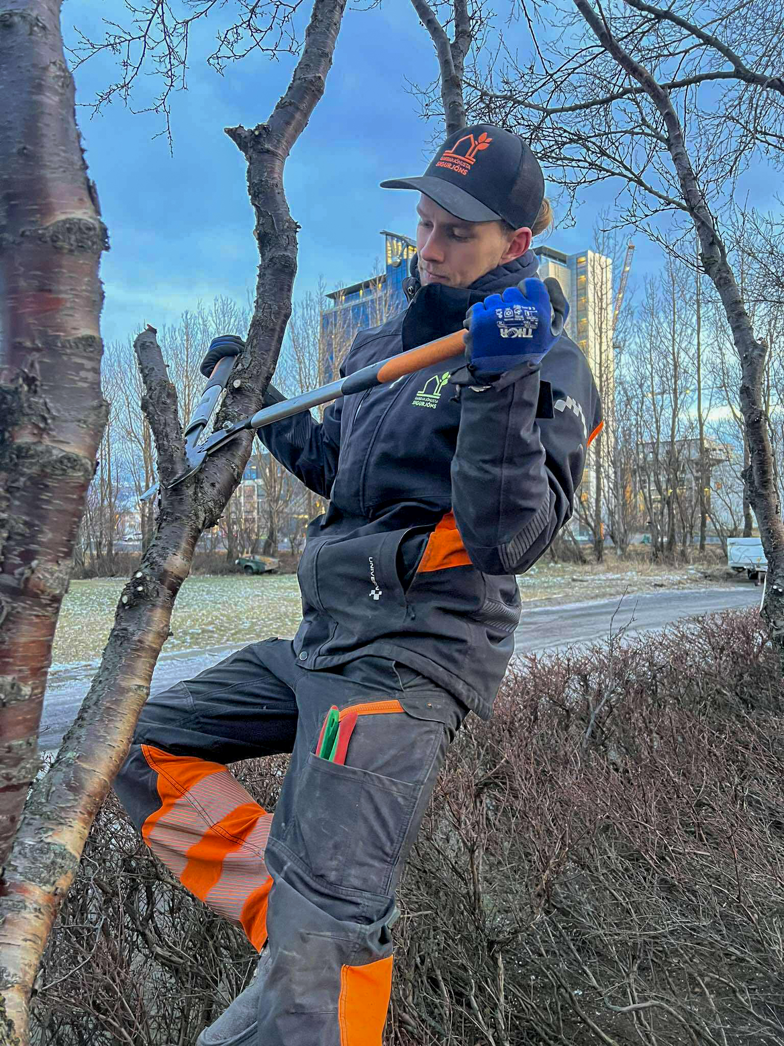 Nákvæm grisjun og trjáklipping með handverkfærum til að tryggja heilbrigðan vöxt trésins.