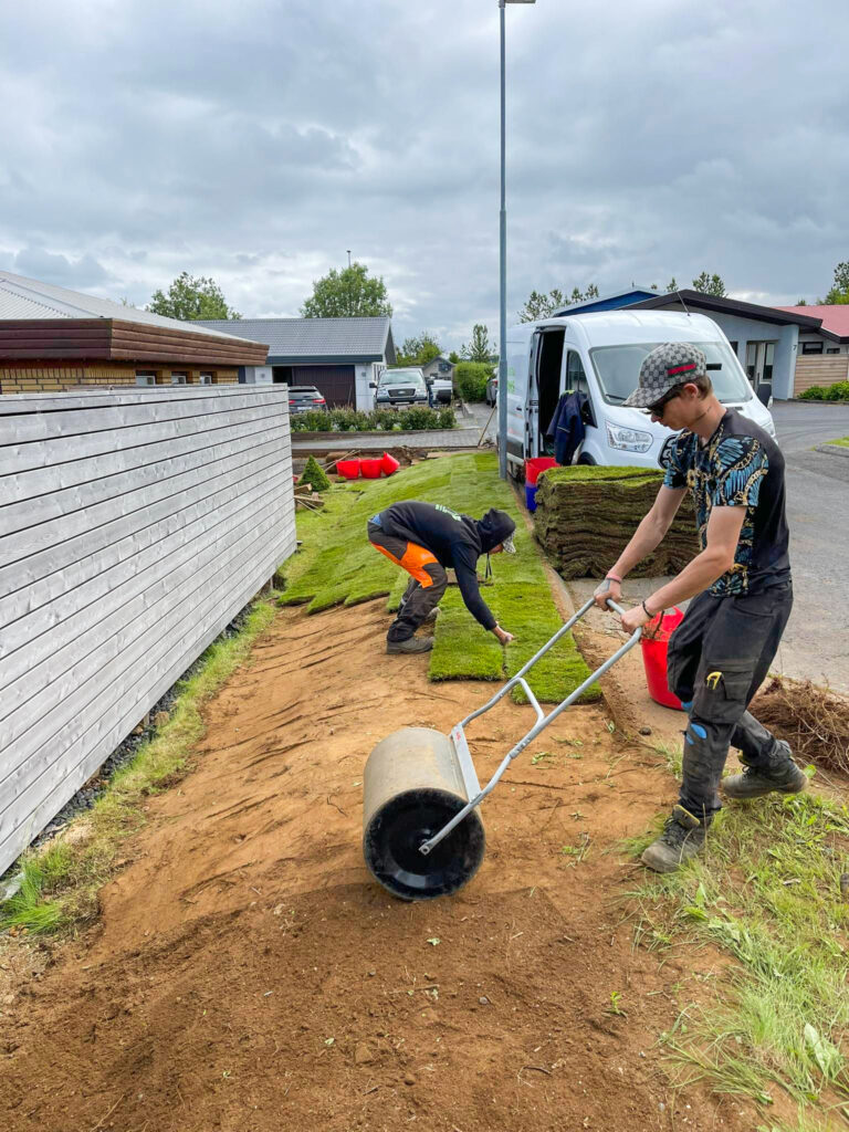 Starfsmaður að notast við tromlu til að valta nýlagða grasflöt eftir þökulagningu.