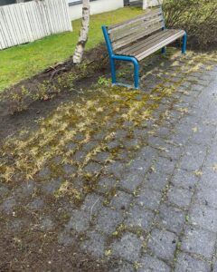 Útisvæði með bekk þar sem mosi og illgresi hefur náð mikilli festu á milli hella.