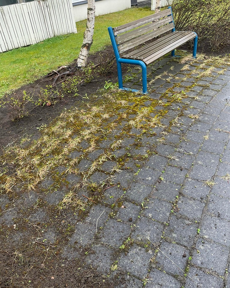 Útisvæði með bekk þar sem mosi og illgresi hefur náð mikilli festu á milli hella.