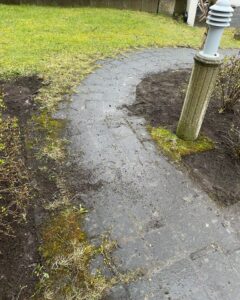 Hellulagður stígur sem er þakinn mosa og óhreinindum áður en hreinsun hefst.