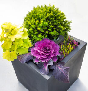 Haustskreytingar fyrir einstaklinga, húsfélög og fyrirtæki