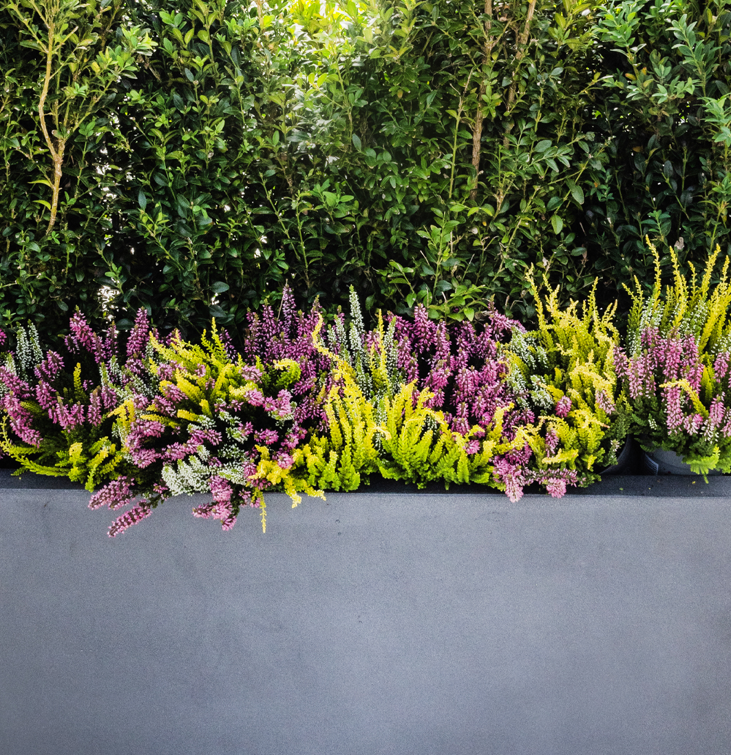 Haustskreytingar fyrir einstaklinga, húsfélög og fyrirtæki