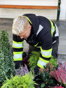 Starfsmaður í vinnufötum að gróðursetja sígræna runna og lyng. Undirbúningur garðsins fyrir veturinn.