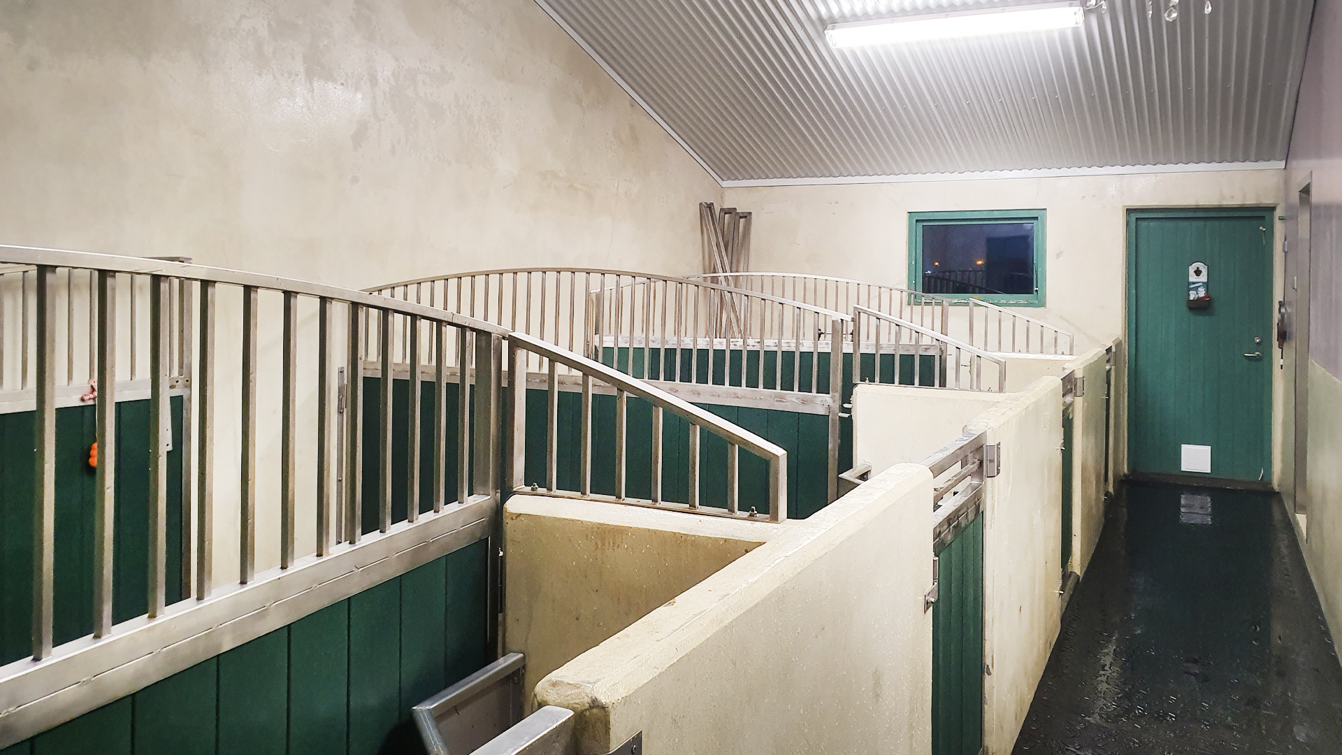 Nýþrifið hesthús