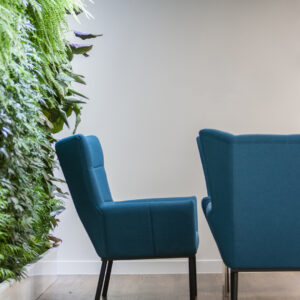 Lifandi plöntuveggur með þéttum gróðri við setustofu. Grænn veggur sem skapar ró og vellíðan fyrir gesti og starfsfólk.