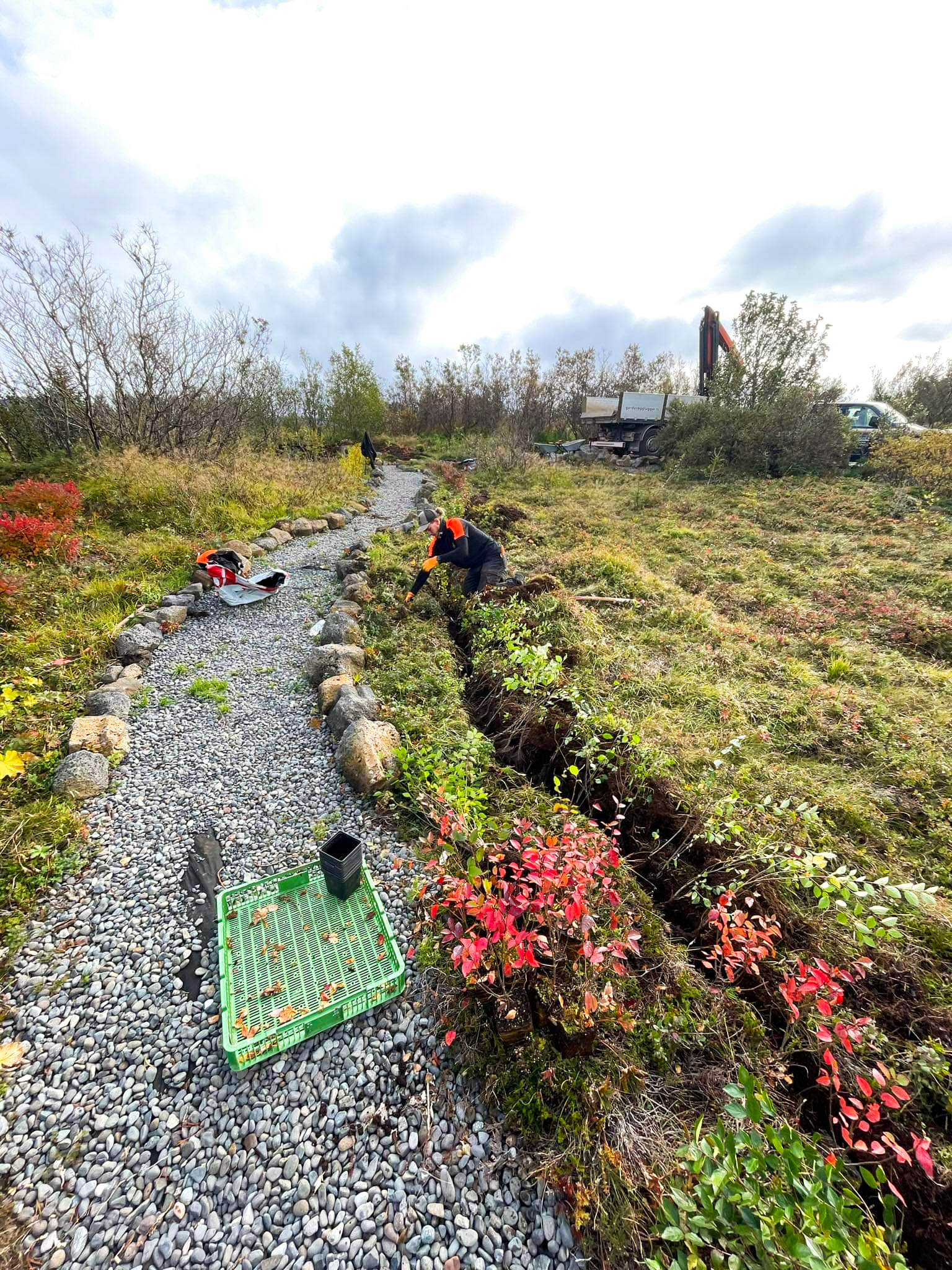 Í Höfðaskógi höfum við gróðursett þúsundir trjáa í lundinum sem við köllum Elínarlund. Þar erum við að rækta skóg og byggja upp útivistarsvæði sem fær að vaxa og þróast með tímanum. Elínarlundur er hluti af samfélagsábyrgð Garðaþjónustu Sigurjóns og endurspeglar þá nálgun að vega upp á móti trjáfellingum með markvissri gróðursetningu.