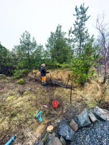 Í Höfðaskógi höfum við gróðursett þúsundir trjáa í lundinum sem við köllum Elínarlund. Þar erum við að rækta skóg og byggja upp útivistarsvæði sem fær að vaxa og þróast með tímanum. Elínarlundur er hluti af samfélagsábyrgð Garðaþjónustu Sigurjóns og endurspeglar þá nálgun að vega upp á móti trjáfellingum með markvissri gróðursetningu.
