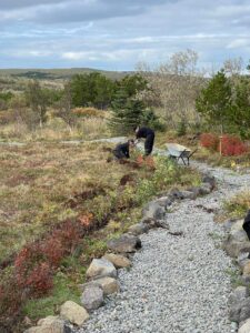 Í Höfðaskógi höfum við gróðursett þúsundir trjáa í lundinum sem við köllum Elínarlund. Þar erum við að rækta skóg og byggja upp útivistarsvæði sem fær að vaxa og þróast með tímanum. Elínarlundur er hluti af samfélagsábyrgð Garðaþjónustu Sigurjóns og endurspeglar þá nálgun að vega upp á móti trjáfellingum með markvissri gróðursetningu.