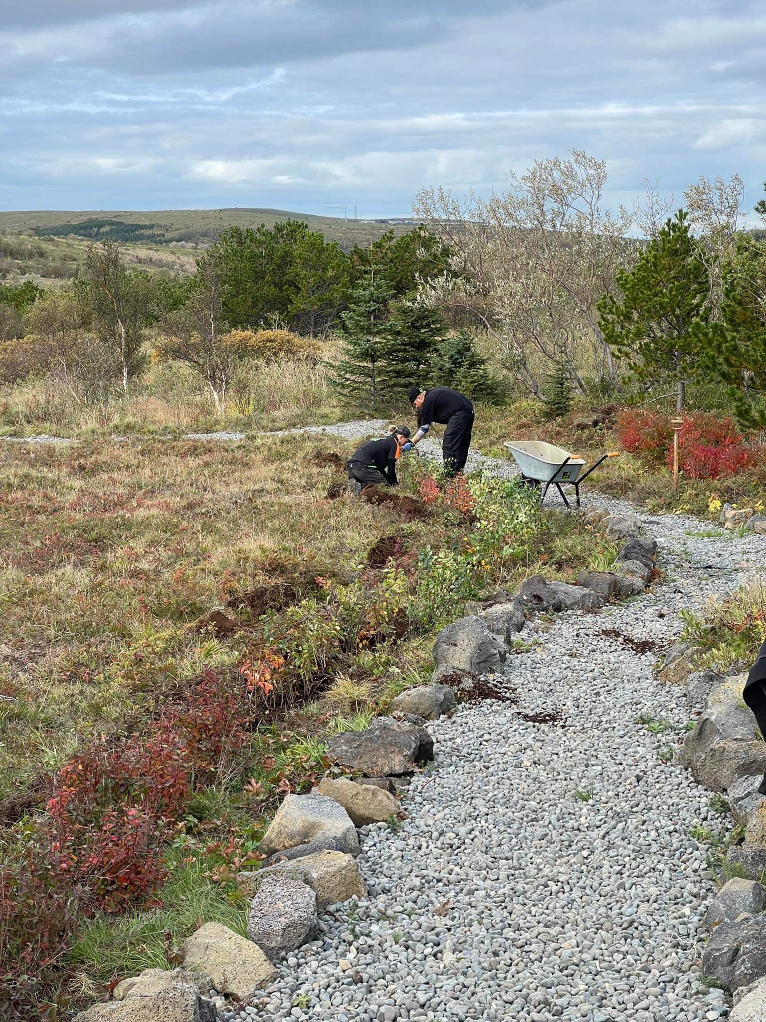 Í Höfðaskógi höfum við gróðursett þúsundir trjáa í lundinum sem við köllum Elínarlund. Þar erum við að rækta skóg og byggja upp útivistarsvæði sem fær að vaxa og þróast með tímanum. Elínarlundur er hluti af samfélagsábyrgð Garðaþjónustu Sigurjóns og endurspeglar þá nálgun að vega upp á móti trjáfellingum með markvissri gróðursetningu.