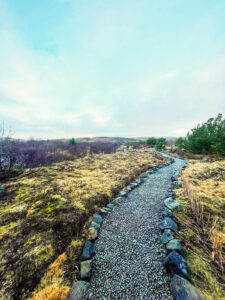 Í Höfðaskógi höfum við gróðursett þúsundir trjáa í lundinum sem við köllum Elínarlund. Þar erum við að rækta skóg og byggja upp útivistarsvæði sem fær að vaxa og þróast með tímanum. Elínarlundur er hluti af samfélagsábyrgð Garðaþjónustu Sigurjóns og endurspeglar þá nálgun að vega upp á móti trjáfellingum með markvissri gróðursetningu.