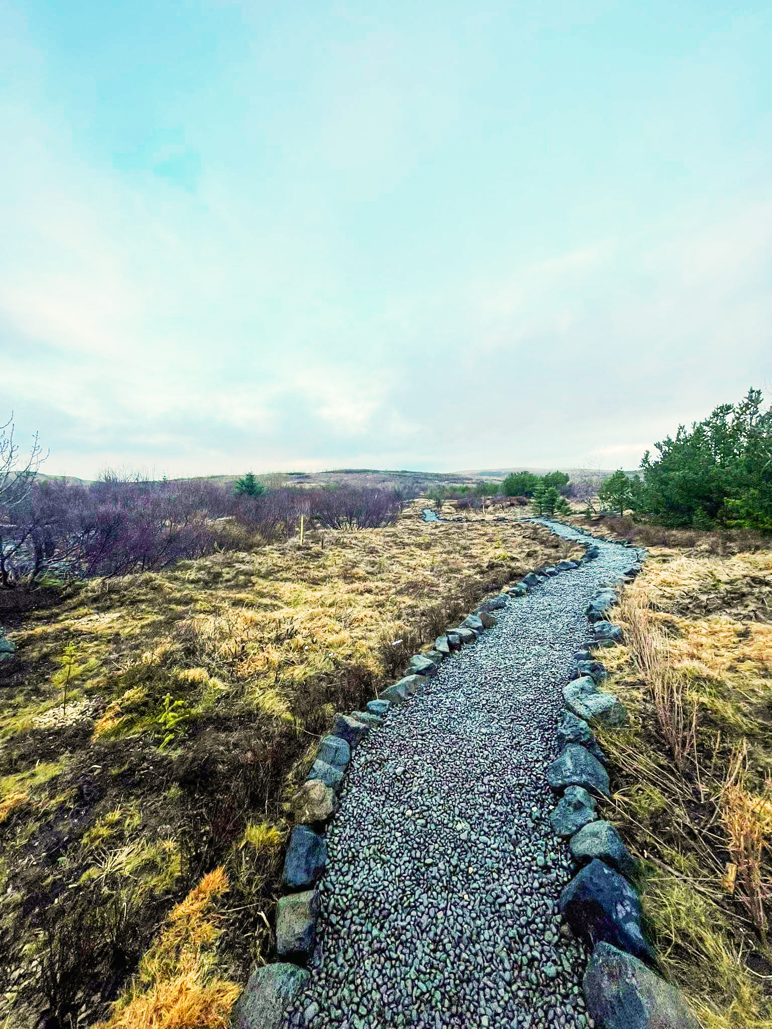 Í Höfðaskógi höfum við gróðursett þúsundir trjáa í lundinum sem við köllum Elínarlund. Þar erum við að rækta skóg og byggja upp útivistarsvæði sem fær að vaxa og þróast með tímanum. Elínarlundur er hluti af samfélagsábyrgð Garðaþjónustu Sigurjóns og endurspeglar þá nálgun að vega upp á móti trjáfellingum með markvissri gróðursetningu.