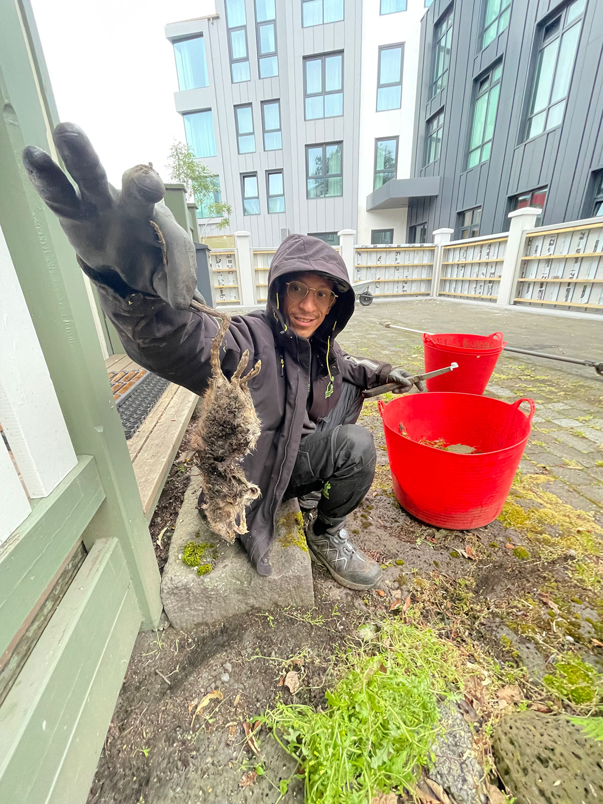 Meindýraeyðir hjá Garðaþjónustu Sigurjóns sýnir árangursríka eyðingu á rottu við íbúðarhúsnæði. Faglegar meindýravarnir gegn nagdýrum.